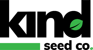 Everything You Need to Know About Marijuana Seeds Connecticut Everything You Need to Know About Marijuana Seeds Connecticut